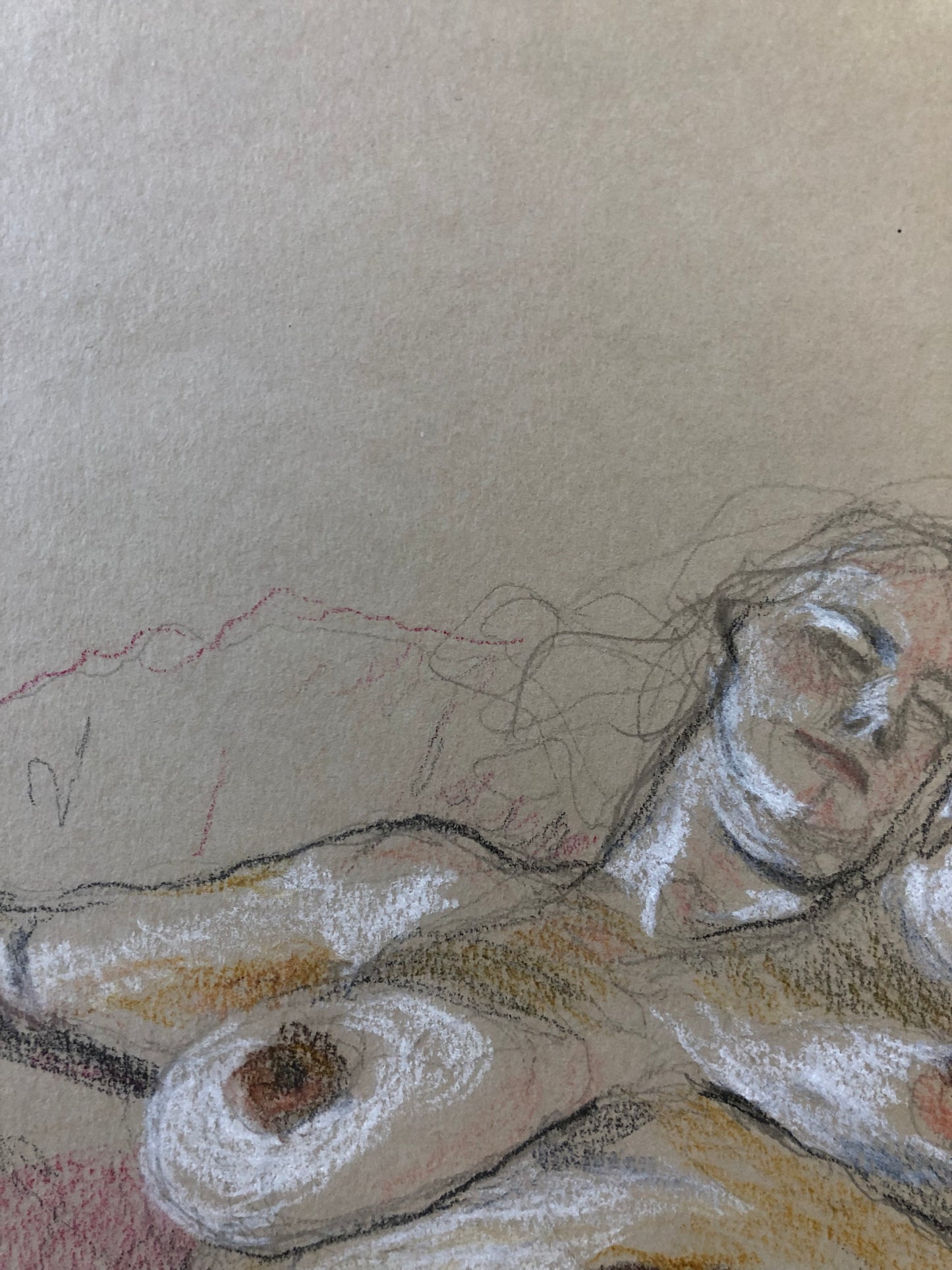 LUNDI 15 NOVEMBRE - 2