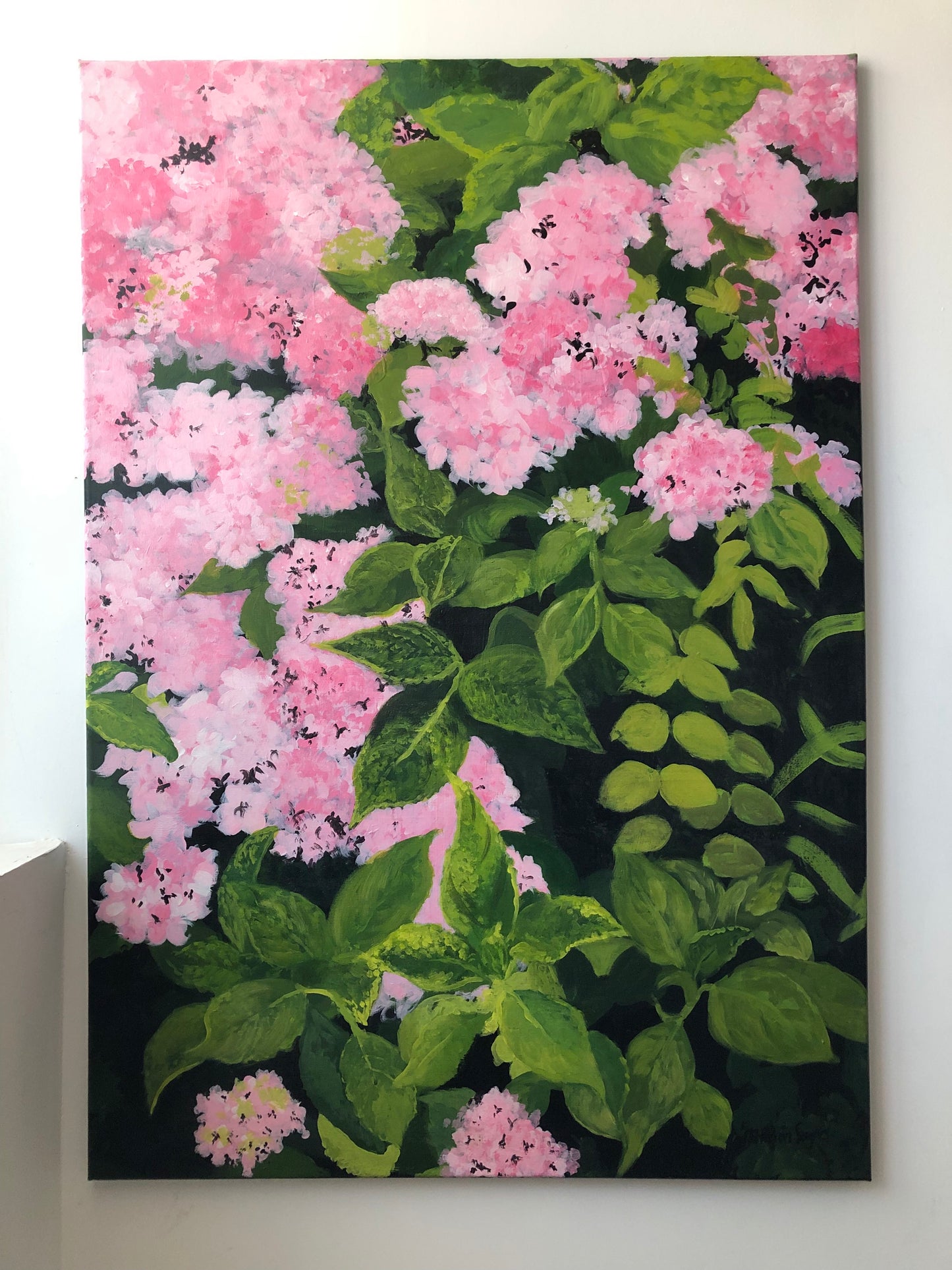 LES HORTENSIAS DE LA FERME