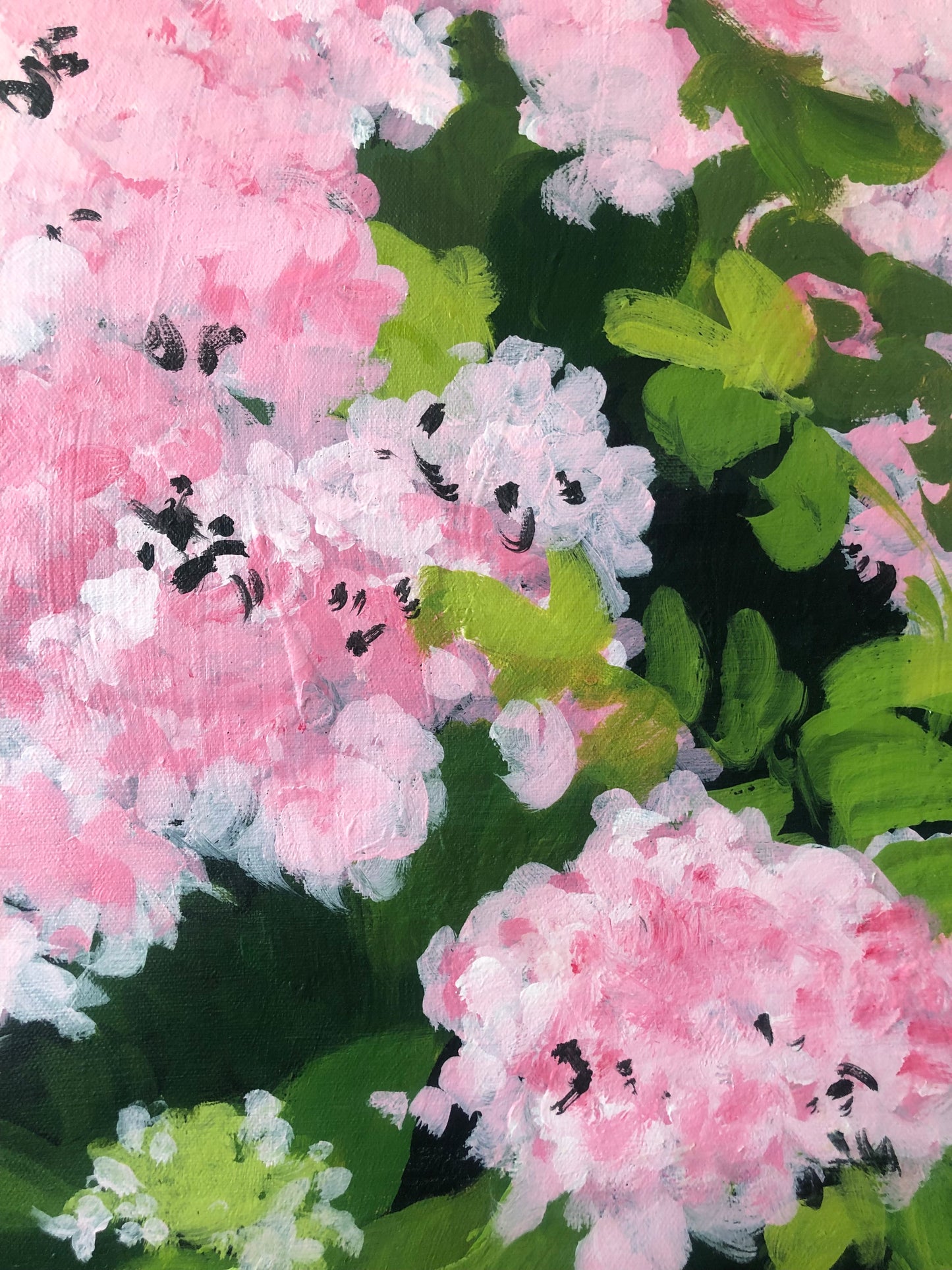 LES HORTENSIAS DE LA FERME