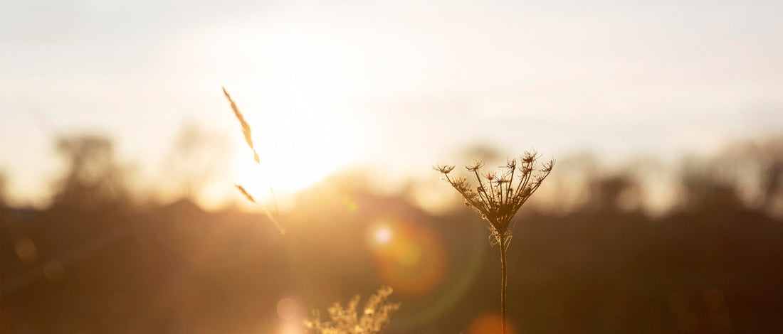 Là où je me relève