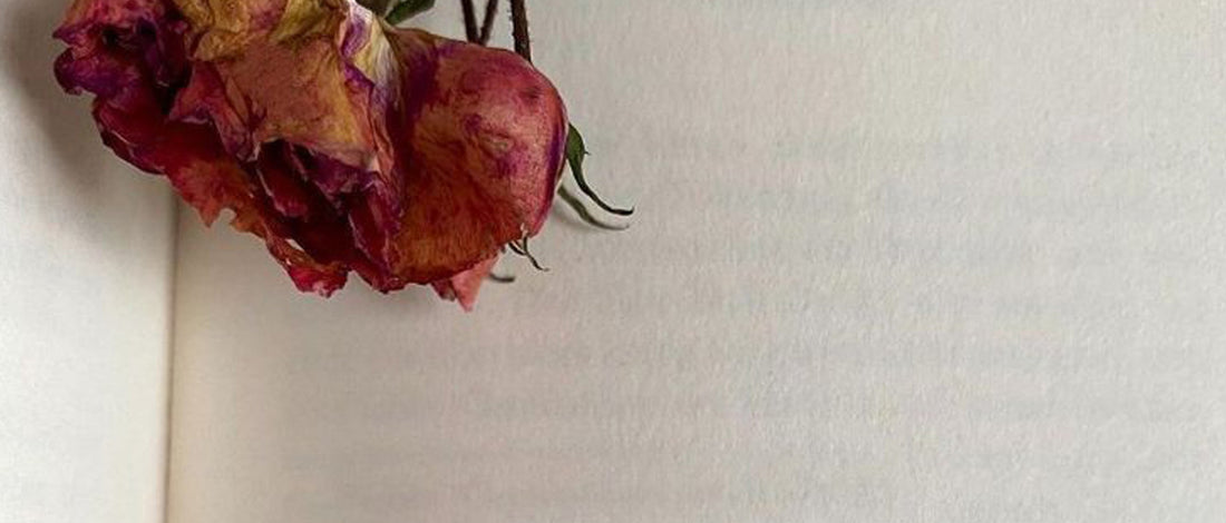 Lettre invisible entre deux amoureux