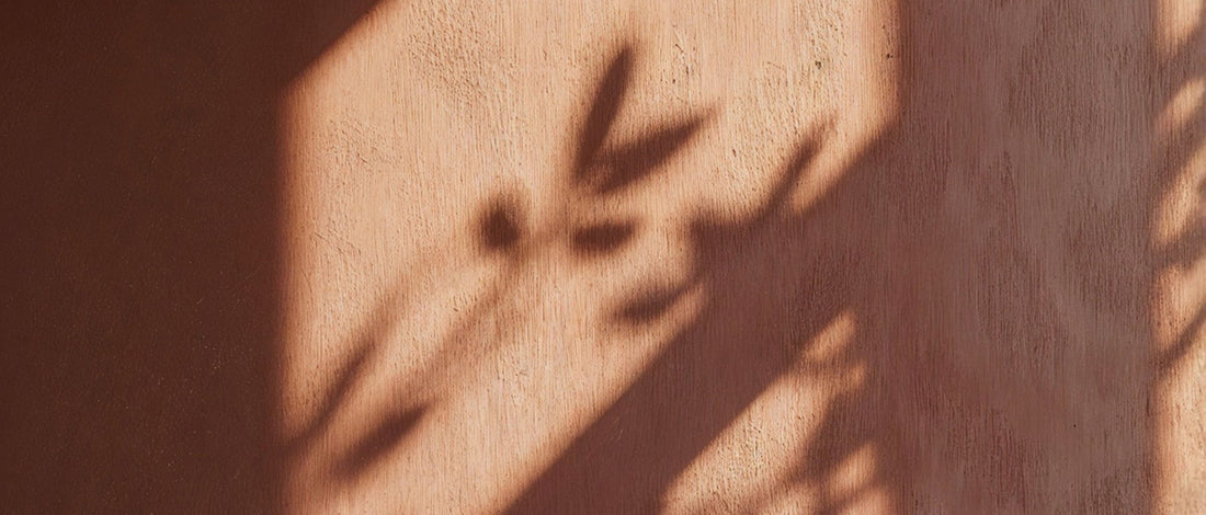 Manifeste de mon cœur éveillé