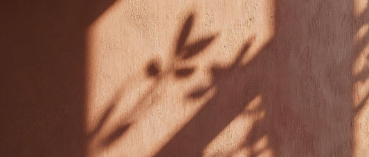 Manifeste de mon cœur éveillé